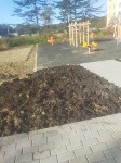 Жители Соловьёвки жалуются на вонь от грунта на клумбах, Фото: 5