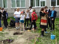 сирень, Фото: 4
