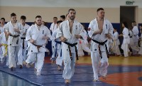 Трёхкратный чемпион мира по каратэ-киокусинкай провёл мастер-класс для юных сахалинцев, Фото: 9