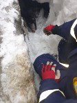 В Южно-Сахалинске спасли застрявшего под снегом бездомного пса, Фото: 1