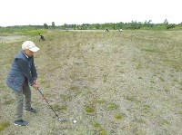Первенство области по гольфу прошло в Анивском районе, Фото: 6