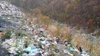 В Холмске свалку бытовых отходов признали незаконной, Фото: 3
