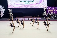 Первенство ДФО по эстетической гимнастике , Фото: 5