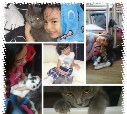 Наш любимый кот Юджин Ли и его друг Алтай