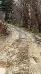 Единственную дорогу к двум СНТ превратила в кашу техника южно-сахалинского водоканала, Фото: 1
