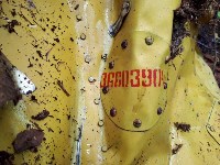 Имена погибшего экипажа Ил-28 узнали сахалинские поисковики, Фото: 1