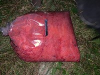 Схрон со 150 килограммами красной икры обнаружили сахалинские пограничники, Фото: 6