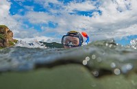 Более 200 человек увидели подводный мир залива Анива в этом году, Фото: 8