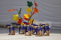 Сильнейших турнира по эстетической гимнастике определили среди юных сахалинок, Фото: 2