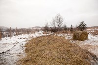 Около сотни благородных оленей доставили на Сахалин, Фото: 33