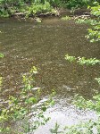 Экологи бьют тревогу: реки на северо-востоке Сахалина пусты, горбуши нет, Фото: 9