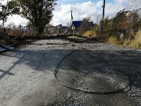 В Южно-Сахалинске поваленное дерево перегородило улицу Горную, Фото: 1