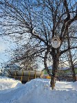 Сахалинские малыши учатся подкармливать птиц, Фото: 3