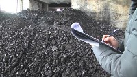 Преступная группа украла уголь на 12 миллионов рублей на Сахалине, Фото: 8