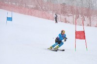 Ветераны горнолыжного спорта показали мастерство на «Горном воздухе», Фото: 7