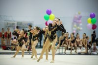 Юные сахалинские гимнастки определили сильнейших на региональных первенстве и турнире, Фото: 12