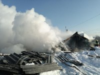 Грибная ферма с американским оборудованием и котом сгорела в Тымовском, Фото: 6