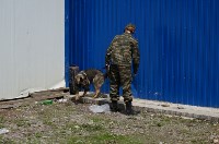 В центре Южно-Сахалинска оцепили территорию у торговых павильонов, Фото: 8