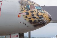 Самолёт-леопард приземлился в Южно-Сахалинске, Фото: 3