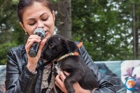 В рамках выставки беспородных собак в Южно-Сахалинске 8 питомцев обрели хозяев, Фото: 159