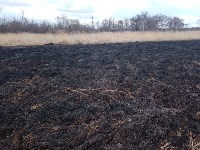 Горящую траву потушили на окраине Южно-Сахалинска, Фото: 2