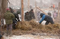 Около сотни благородных оленей доставили на Сахалин, Фото: 19