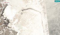 Экологи обвиняют "Эксон" в гибели сельди у берегов Сахалина, Фото: 2