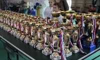 Завершены первенство и чемпионат Сахалинской области по киокусинкай, Фото: 4