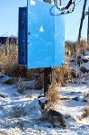 Село с родовой общиной "Аборигены" подключили к электроснабжению на Сахалине, Фото: 9