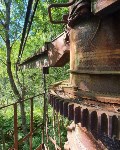 Сахалинец нашёл в глухом лесу огромный строительный кран, Фото: 1