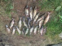Факты незаконного вылова ценных пород рыбы зафиксировали в Охинском районе, Фото: 8