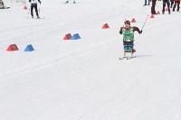 На Сахалине разыграли все комплекты наград юбилейного лыжного марафона, Фото: 29