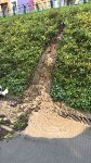 Грязевые потоки обрушились на придомовые дороги в Корсакове, Фото: 2