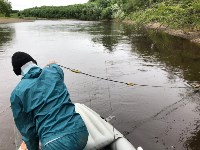 Экспедиция по оценке заполнения нерестилищ рек Сахалина , Фото: 17