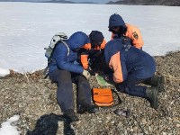 Сахалинские спасатели провели учебно-тренировочный сбор по ориентированию, Фото: 4