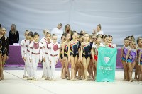 Юные сахалинские гимнастки определили сильнейших на региональных первенстве и турнире, Фото: 7
