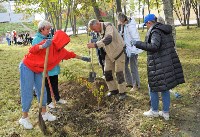 Молодые саженцы деревьев украсили территорию культурно-досугового центра в Корсакове, Фото: 2