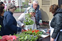 Посетители ярмарки в Томари купили рассаду и свежемороженую креветку, Фото: 6
