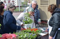 Посетители ярмарки в Томари купили рассаду и свежемороженую креветку, Фото: 6