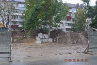 Строители уничтожают ценные деревья Южно-Сахалинска, Фото: 7