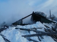 Грибная ферма с американским оборудованием и котом сгорела в Тымовском, Фото: 7
