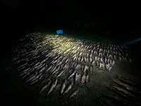 Браконьеров с сотнями хвостов горбуши и кеты задержали на Сахалине, Фото: 5