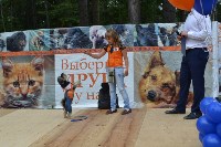 В рамках выставки беспородных собак в Южно-Сахалинске 8 питомцев обрели хозяев, Фото: 276