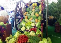 Поставки фруктов и овощей из Узбекистана , Фото: 1
