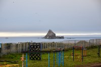 На Кунашире в палаточном краеведческом лагере в двух сменах отдохнули 100 детей, Фото: 2
