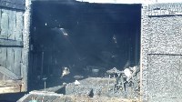 Играющие дети спалили 11 гаражей в селе Чехов, Фото: 7