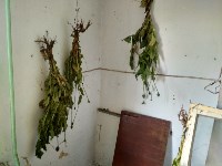 «Наркобарона» с 10 кг наркотиков задержали на севере Сахалина, Фото: 1