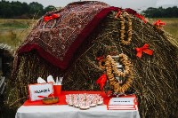 В Мицулёвке стартовали продажи коттеджного посёлка "Подкова", Фото: 2