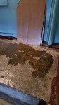 Квартиру в многоэтажке подтопило во время ливня в Южно-Сахалинске, Фото: 3