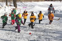 В Южно-Сахалинске завершился третий сезон  Детсадовской семейной хоккейной лиги, Фото: 4